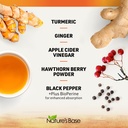 nature-s-base-turmeric-and-ginger-supple-4.jpg