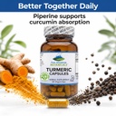 pure-mountain-botanicals-turmeric-curcum-4.jpg