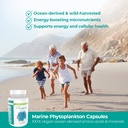 marine-phytoplankton-capsules-gluten-fre-3.jpg