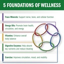 bio-35-100ct-iron-gluten-soy-free-daily--3.jpg