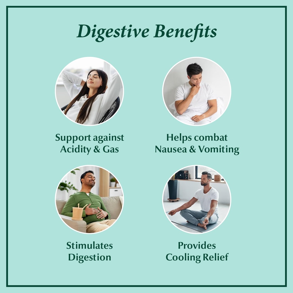 dabur-pudin-hara-pearls-daily-digestive--4.jpg