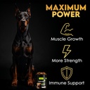 11-in-1-muscle-gain-chews-weight-gain-su-2.jpg