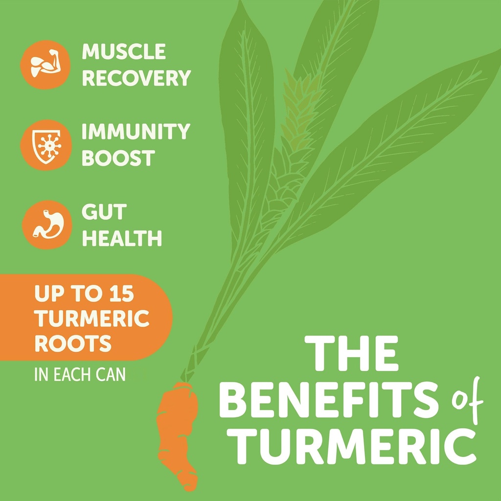 zyn-turmeric-wellness-drink-6-pack-mango-3.jpg