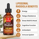 500-mg-liposomal-active-rhodiola-rosea-s-6.jpg
