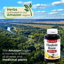 lab-rhodiola-rosea-rhodiola-rosea-supple-6.jpg