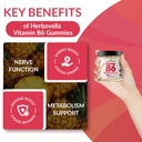 vitamin-b6-gummies-100mg-vitamin-b6-supp-3.jpg