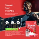 nsf-certified-creatine-gummy-creatine-mo-4.jpg