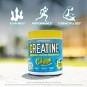 finaflex-pure-creatine-calypso-ocean-blu-4.jpg