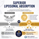 liposomal-glutathione-liquid-supplement--3.jpg