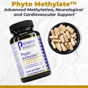 premier-research-labs-phyto-methylate-b--2.jpg