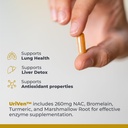 premier-research-labs-pneumoven-lung-sup-4.jpg
