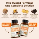 turmeric-supplement-bundle-2-pack-organi-3.jpg