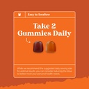 potent-daily-multivitamin-gummies-for-ad-5.jpg