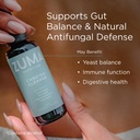 zuma-nutrition-candida-cleanse-tonic-can-2.jpg