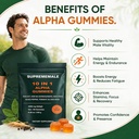 supreme-male-10-in-1-alpha-gummies-herba-2.jpg