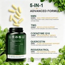 nmn-supplement-nad-precursor-support-100-2.jpg