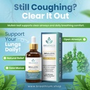 4-in-1-mullein-drops-for-lungs-gut-healt-2.jpg