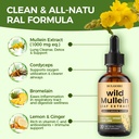 wild-mullein-drops-for-lungs-organic-liq-3.jpg