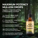 wild-mullein-drops-for-lungs-organic-liq-2.jpg