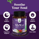 bundle-of-nootropic-brain-supplement-men-5.jpg