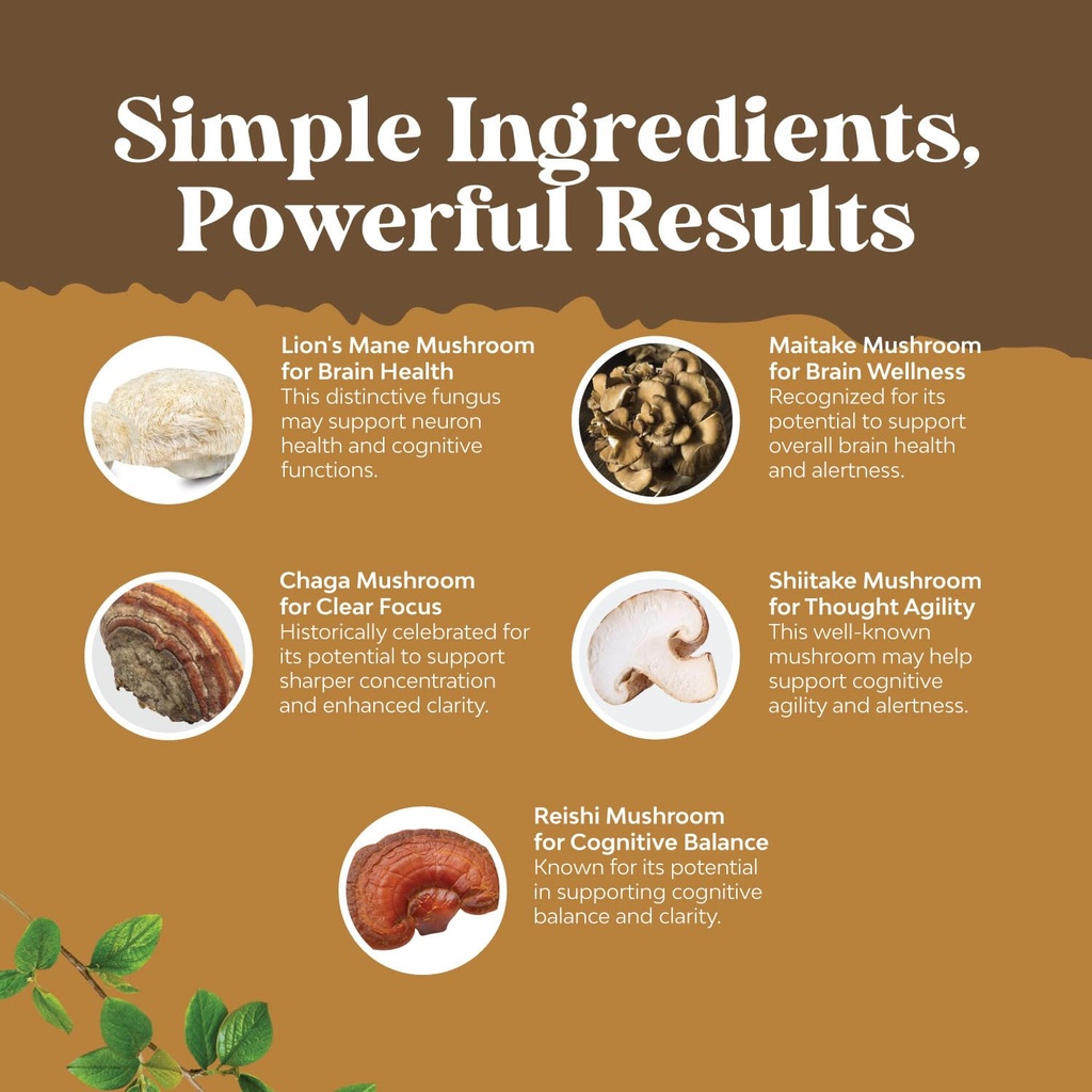 advanced-lion-s-mane-mushroom-supplement-3.jpg