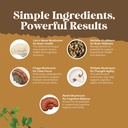 advanced-lion-s-mane-mushroom-supplement-3.jpg