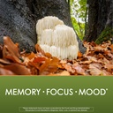 planetary-herbals-lion-s-mane-for-memory-6.jpg