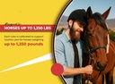 horse-paste-gel-1-87-apple-flavored-oral-2.jpg