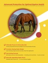horse-paste-gel-1-87-apple-flavored-oral-5.jpg