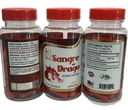 sangre-de-drago-dragon-s-blood-croton-le-2.jpg