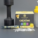 sunwarrior-lemonade-active-creatine-stic-6.jpg
