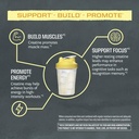 sunwarrior-lemonade-active-creatine-stic-4.jpg