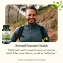swanson-saw-palmetto-full-spectrum-herba-5.jpg