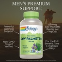 solaray-saw-palmetto-berries-580mg-men-s-3.jpg