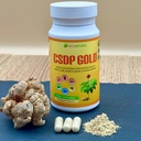 csdp-gold-ginseng-herbal-supplement-supp-5.jpg