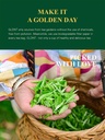 gldnt-organic-green-tea-bags-natural-pur-4.jpg