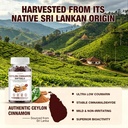 ceylon-cinnamon-softgels-with-mct-oil-tr-4.jpg