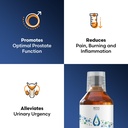 ben-s-natural-health-prostate-healer-her-3.jpg