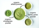 food-to-live-organic-supergrass-powder-b-6.jpg