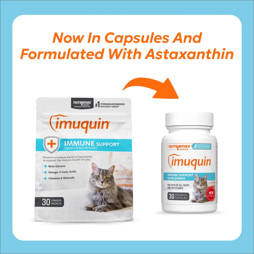 nutramax-imuquin-immune-health-supplemen-2.jpg