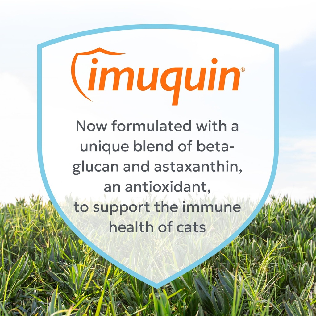 nutramax-imuquin-immune-health-supplemen-4.jpg