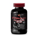 tribulus-terrestris-herb-extract-tribulu-2.jpg