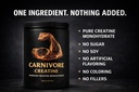 carnivore-creatine-pure-micronized-creat-2.jpg