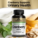 windmill-cranberry-250-mg-caps-60-s-wind-3.jpg