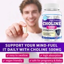 choline-500mg-award-winner-vitacholine-h-6.jpg
