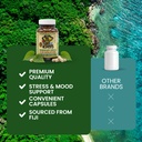 kava-capsules-1500mg-authentic-kava-kava-5.jpg