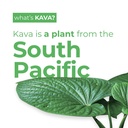 leilo-kava-powered-mocktail-drinks-varie-3.jpg