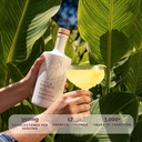 kava-non-alcoholic-spirit-drink-relaxati-4.jpg