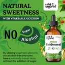 wild-organic-goldenseal-tincture-lung-di-6.jpg