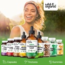 wild-organic-gymnema-sylvestre-extract-d-5.jpg